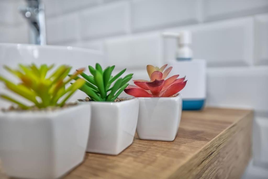 Apartamento Al Alba Cordoba Dış mekan fotoğraf